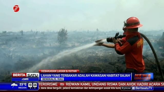 Puluhan Hektare Lahan Gambut Habibat Gajah di Bengkalis Masih Terbakar смотреть онлайн