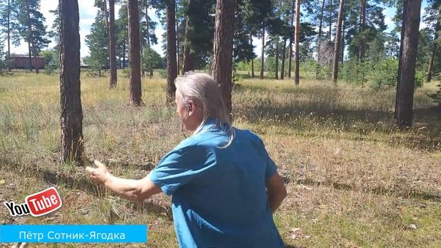 Пётр Сотник-Ягодка(весёлая песня для игривого настроения) смотреть онлайн