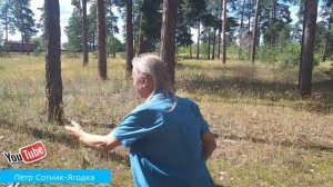 Пётр Сотник-Ягодка(весёлая песня для игривого настроения)