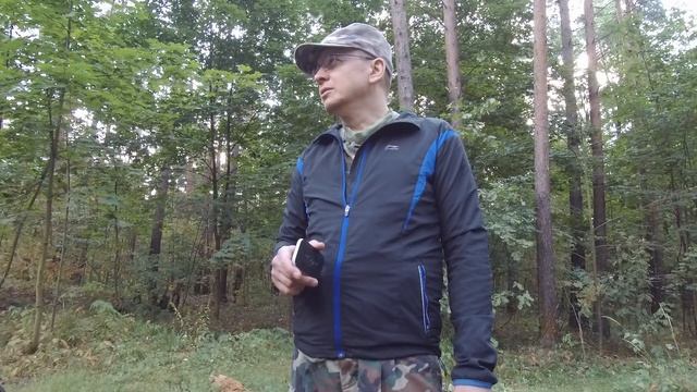 На поиски старой лесной дороги смотреть онлайн