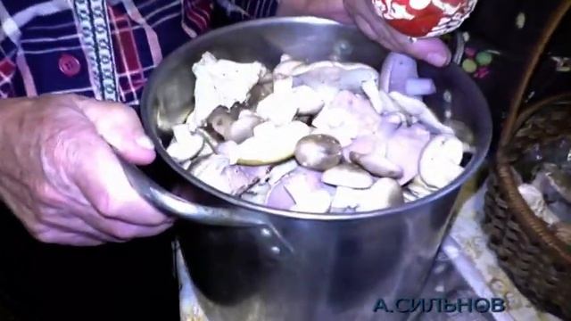 Принимаем Гостей с Грибами. Осваиваем телефон. смотреть онлайн