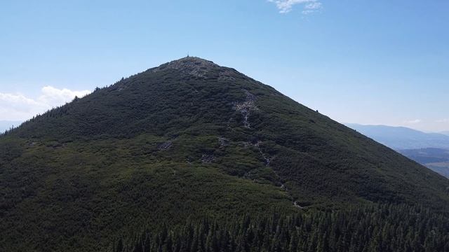 Хомяк 23 08 6 смотреть онлайн