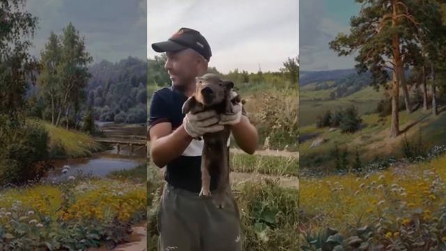 Поймал кабанчика.