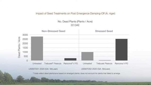 Trust Trebuset Peanuts смотреть онлайн