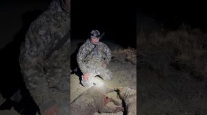 Охота на волков в Дагестане!