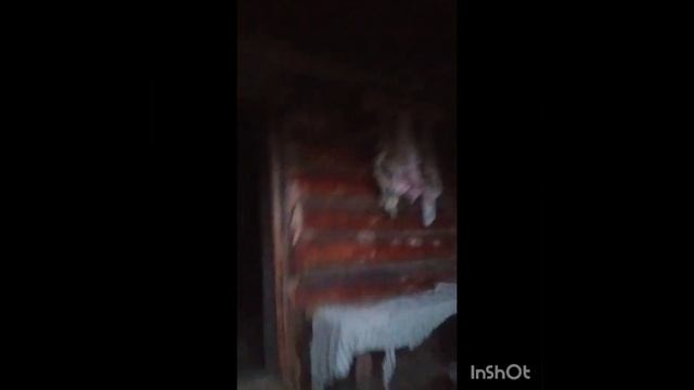 Поход до лешего,сбор грибов!! смотреть онлайн