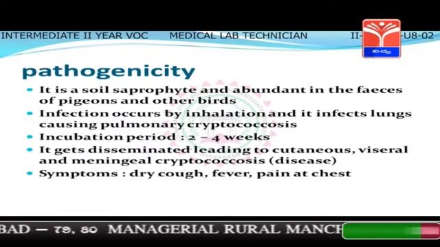 T-SAT | Intermediate  Digital Classes | Medical Lab Technician - Mycology - Cryptococcus Neoformans