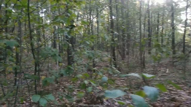 24СенТября 2020гТихая Охота... смотреть онлайн