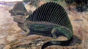 песенка про диметродона