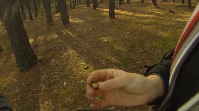 мы и грибы смотреть онлайн