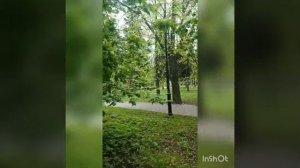 Стих.Весенняя меланхолия