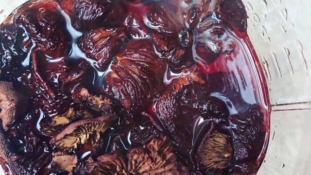 How to Dye with Lobster Mushrooms I Hypomyces lactifluorum @WildcraftDyeing смотреть онлайн