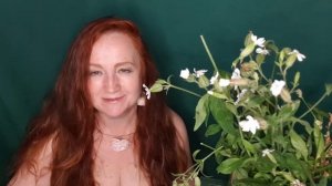 Сбывающееся событие - творящие время (окончание)