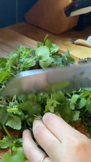 Foraged greens and mushroom pasta! #growyourownfood #urbanhomesteading #gardenharvest