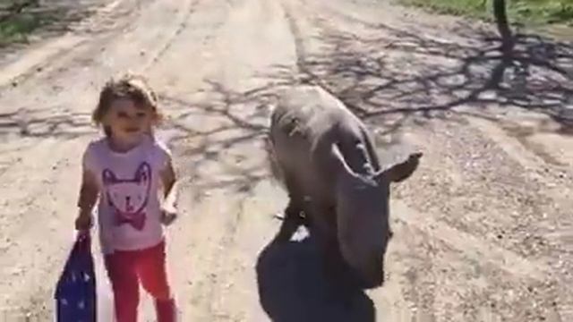 Прикольное видео. А Я иду, шагаю по Африке смотреть онлайн