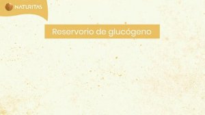 🌱 El Ayuno ¿Qué es? ¿Cómo funciona? ¿Cuáles son sus beneficios?