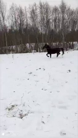 бегаем.mp4
