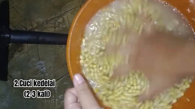 TUGAS BIOLOGI (BIOTEKNOLOGI KONVESIONAL=PEMBUATAN TEMPE) Kelompok Tempeee смотреть онлайн