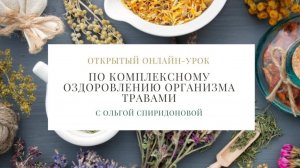 Открытый онлайн-урок по комплексному оздоровлению организма травами с Ольгой Спиридоновой