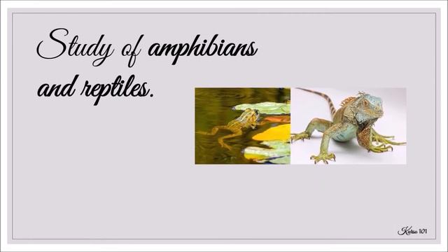 Notes in Science: Branches of Science (with Voice-Over) смотреть онлайн