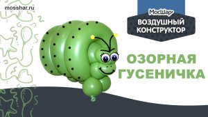 Озорная гусеничка - пошаговый гайд. Как сделать игрушку из ШДМ (шаров для моделирования)