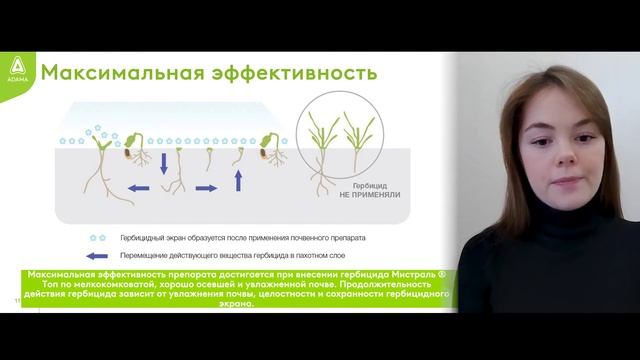 Мистраль® Топ - гербицид для защиты картофеля и сои