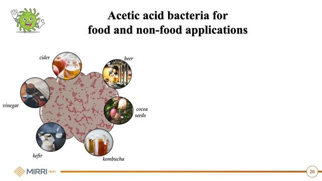 Microbiome and Microorganisms for a Sustainable World