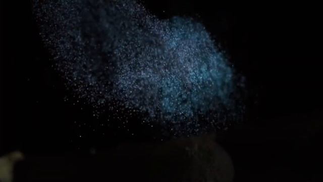 A Tripping Journey Through the Fungi Kingdom смотреть онлайн