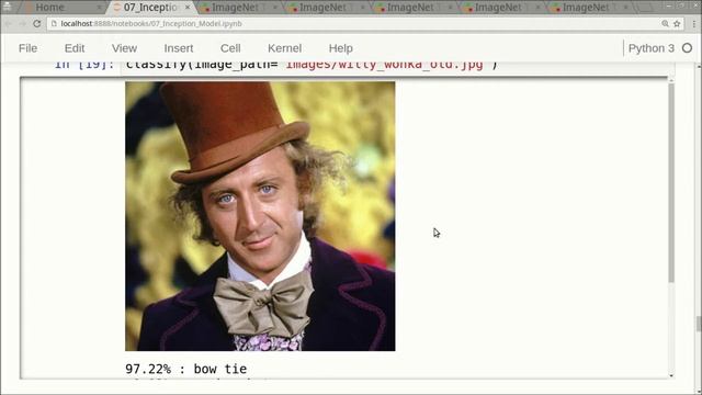 TensorFlow Tutorial #07 Inception Model (Extra)