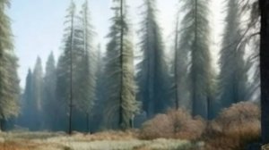 Рассказы из реальной жизни - Цени то, что действительно важно