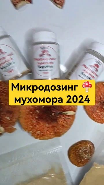 Микродозинг 🍄 мухомора 2024 #микродозинг #мухомор #микродозингмухомора #ежовик смотреть онлайн