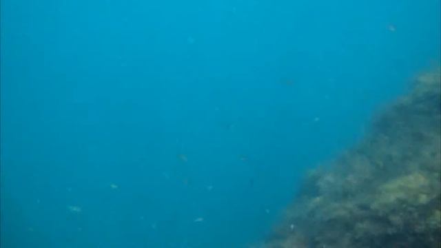 Swimming in the Black Sea, Crimea, Sevastopol