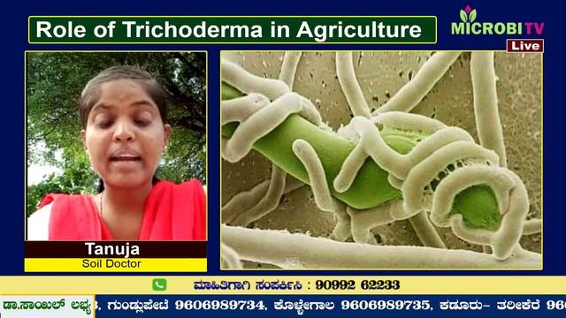Role of Trichoderma in agriculture смотреть онлайн