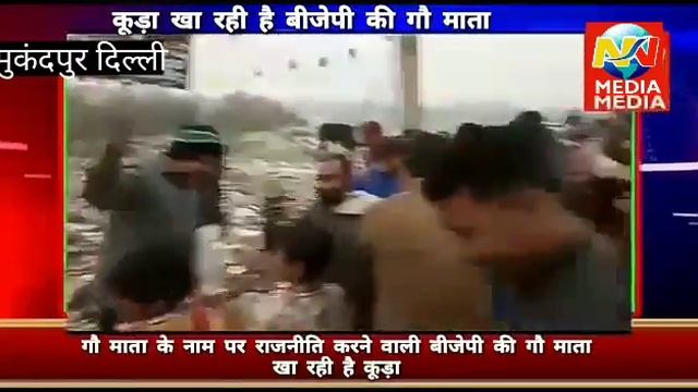 कड क ढर पर ससद क जनमदन वचतर सटरNNN ews nn media