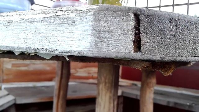 оса строит домик смотреть онлайн