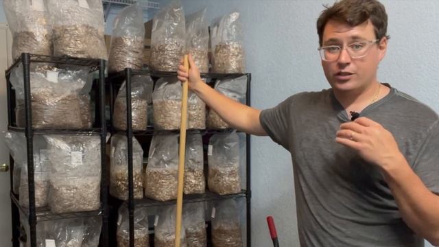 Contamination Mitigation смотреть онлайн