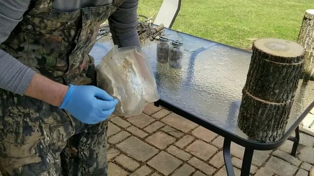 GROW TONS OF MUSHROOMS ON "TOTEM" LOGS, EZ Bucket Totem Tek Explained смотреть онлайн