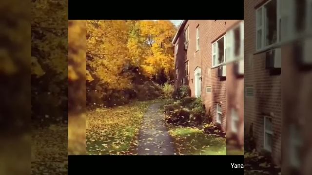 Искренность…