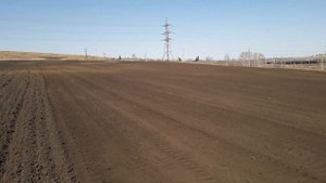 Культивация КВФ 2.8 , доминатор в работе