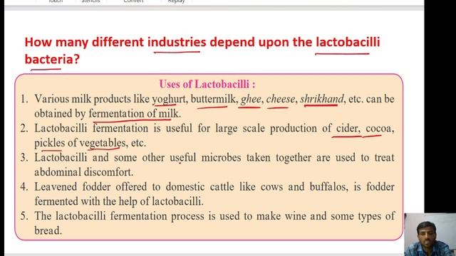 Useful and Harmful Microbes, Lactobacilli, Rhizobium, Yeast, Antibiotics. смотреть онлайн