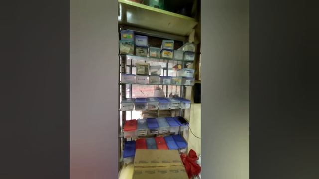 Manidharma's own branch #agriculture #organicfood #Manidharma #Chennai смотреть онлайн