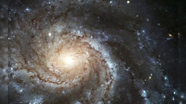 Задачи воплощения смотреть онлайн