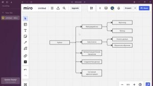 Как выбрать направление программирования Python