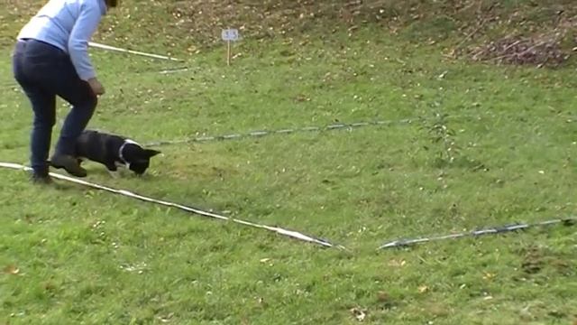 Géraldine & Meryl @ Concours Cavage 2014 Val-et-Châtillon (54) смотреть онлайн