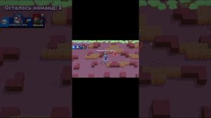 2 апреля 2020 г.