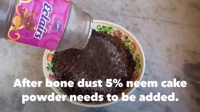 Best Light weight Potting mix For Vegetable Plants  How to Make Cocopeat Potting Mix