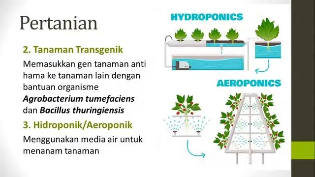 Bioteknologi Biologi 9 SMP (12 Januari 2021) смотреть онлайн