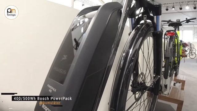 Pegasus Solero E8 Sport Performance (2021) [trekking pedelec]