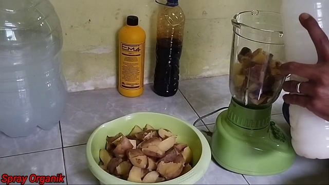 POC MANTAP,Cara Membuat POC Kentang + Pisang,