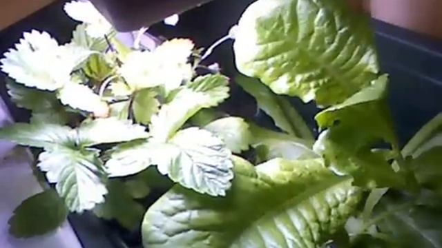 Сжатое время смотреть онлайн